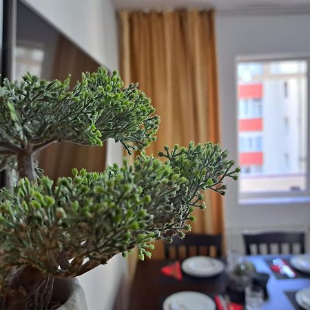 Aviliz Apartament Busteni Bagian luar foto