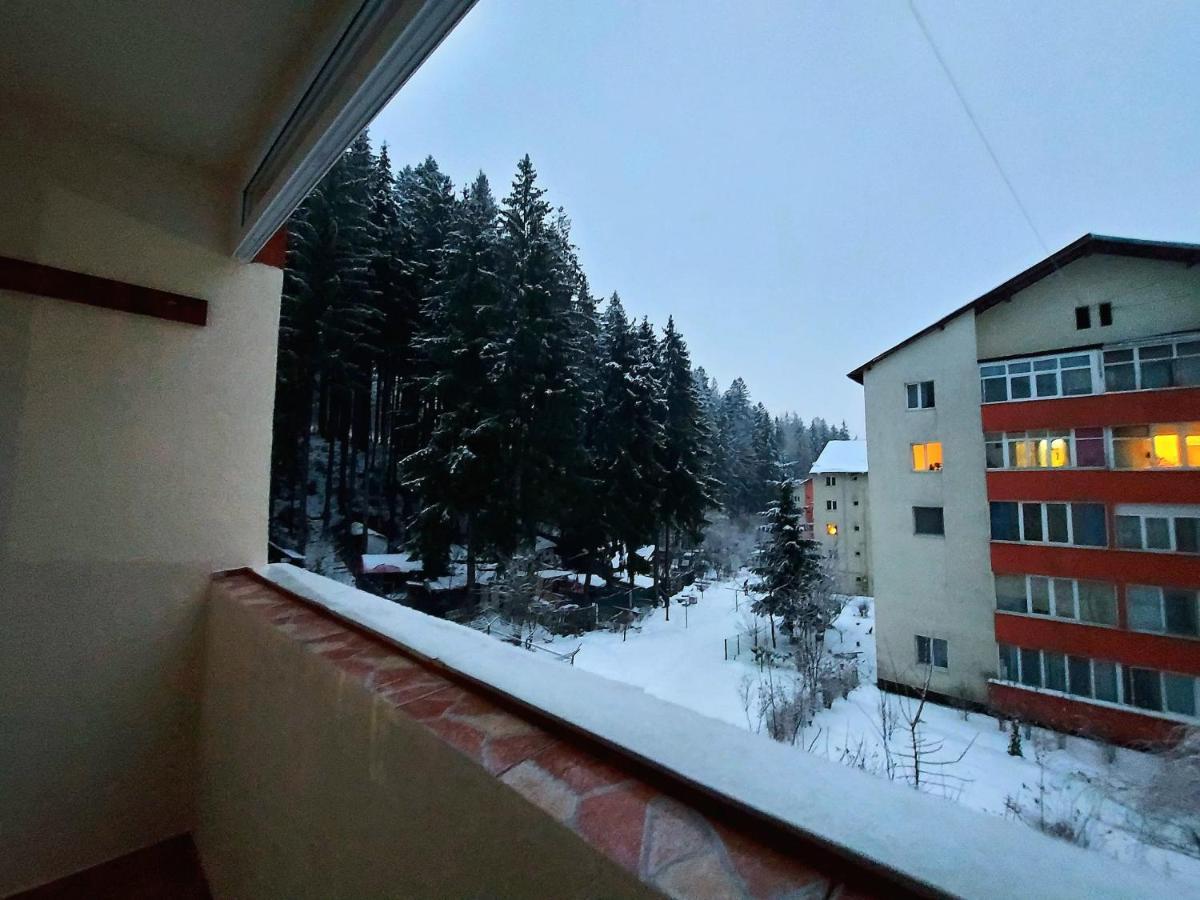 Aviliz Apartament Busteni Bagian luar foto