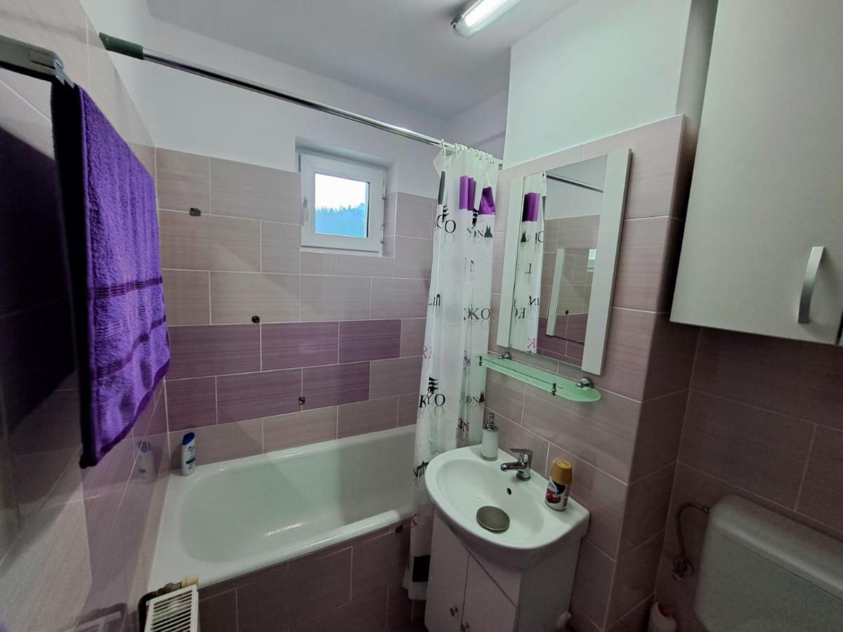 Aviliz Apartament Busteni Bagian luar foto
