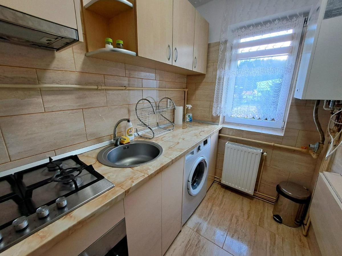 Aviliz Apartament Busteni Bagian luar foto