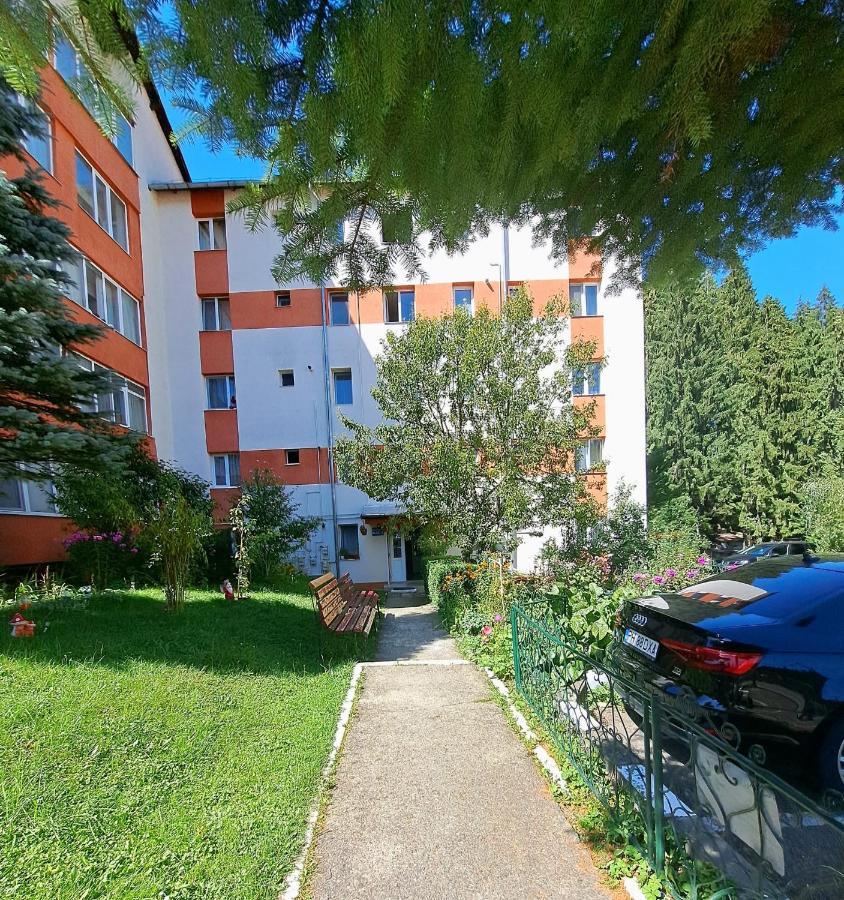 Aviliz Apartament Busteni Bagian luar foto