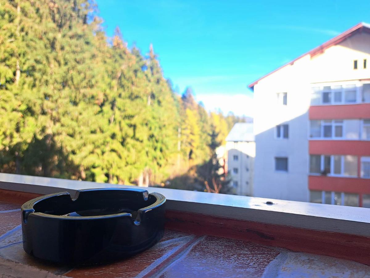 Aviliz Apartament Busteni Bagian luar foto