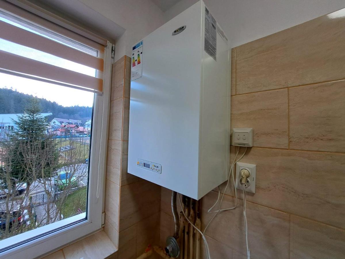 Aviliz Apartament Busteni Bagian luar foto