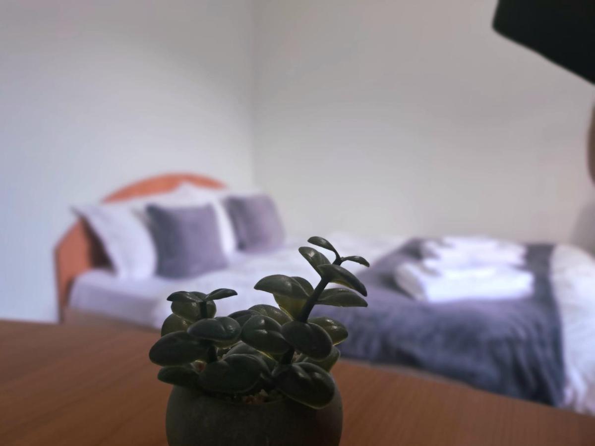 Aviliz Apartament Busteni Bagian luar foto